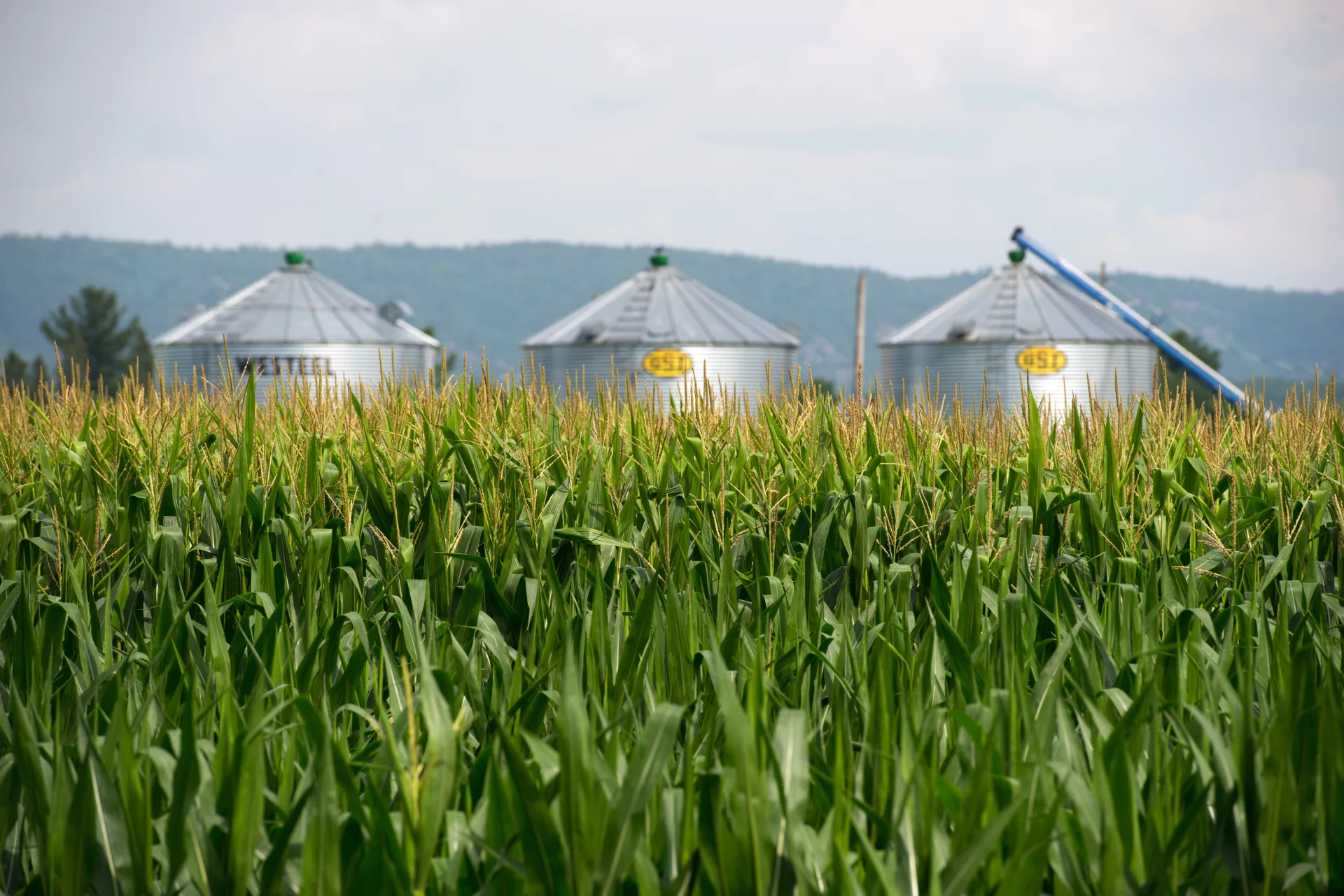 Régions – Agriclimat dans les régions agricoles du Québec
