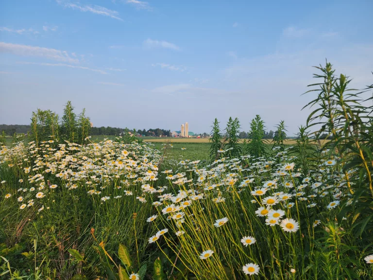 Agriclimat|Notre équipe