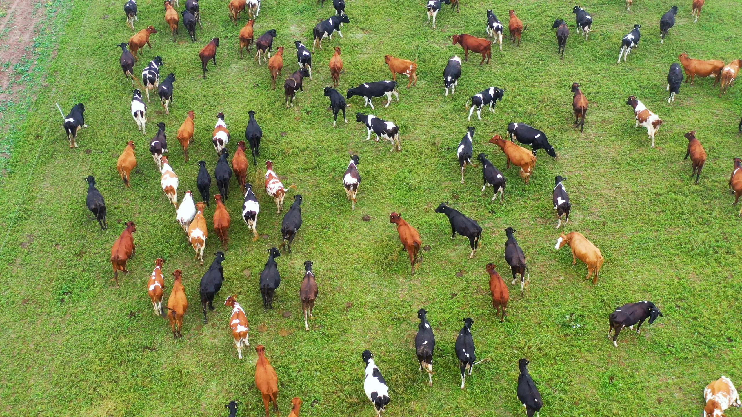 Agriclimat|Infolettre