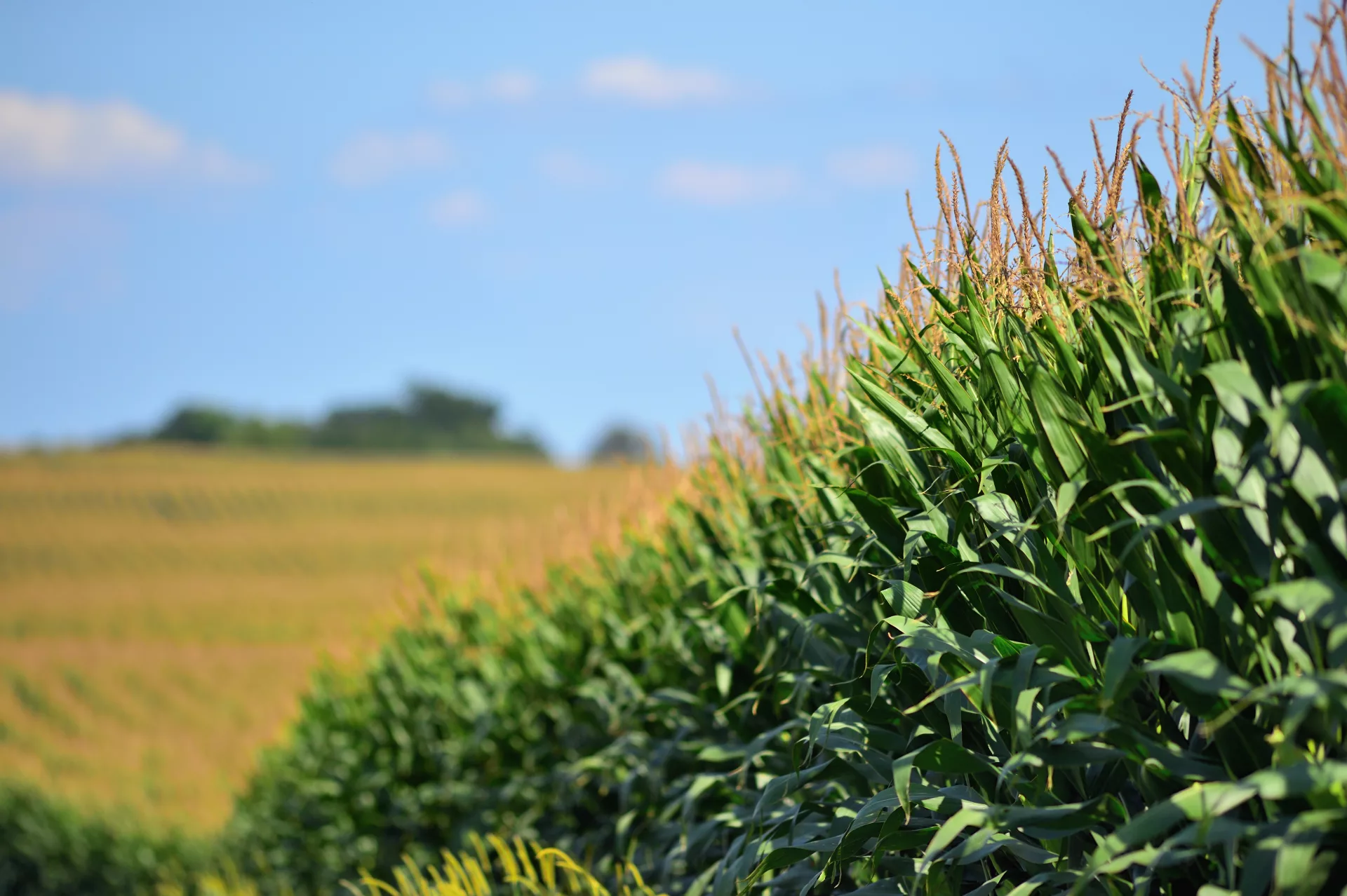 Centre-du-Québec – Région Agriclimat : agriculture & climat au Québec