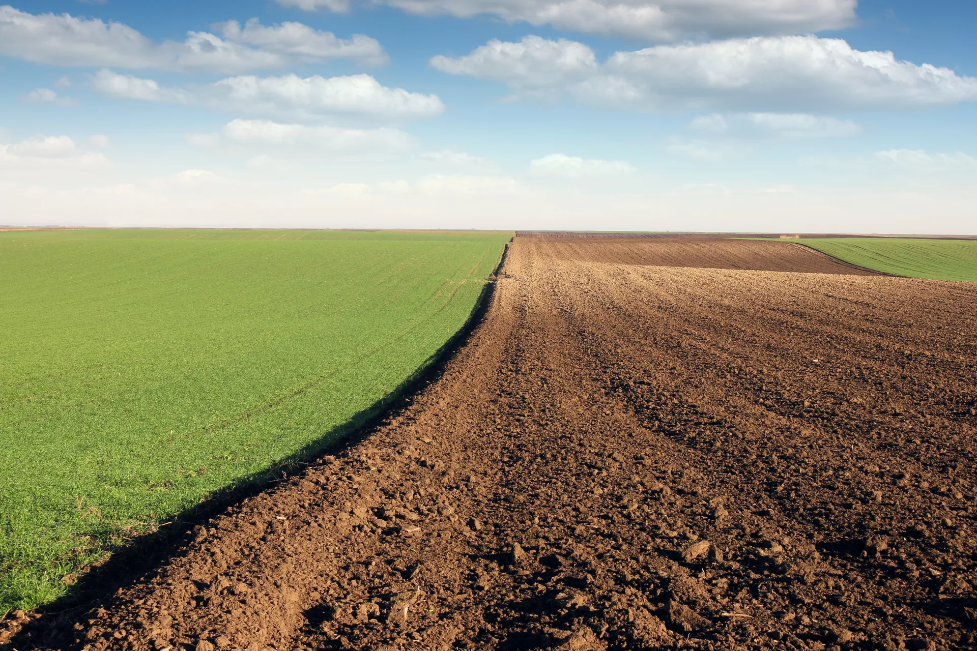 Agriclimat | Infolettre