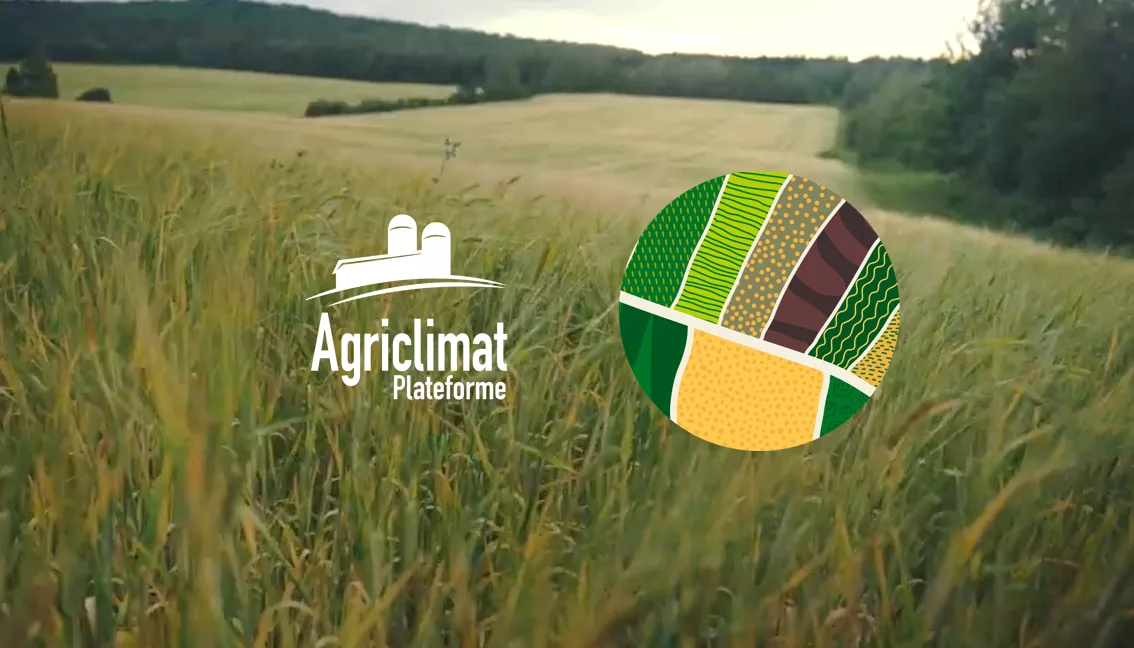 Agriclimat|Infolettre