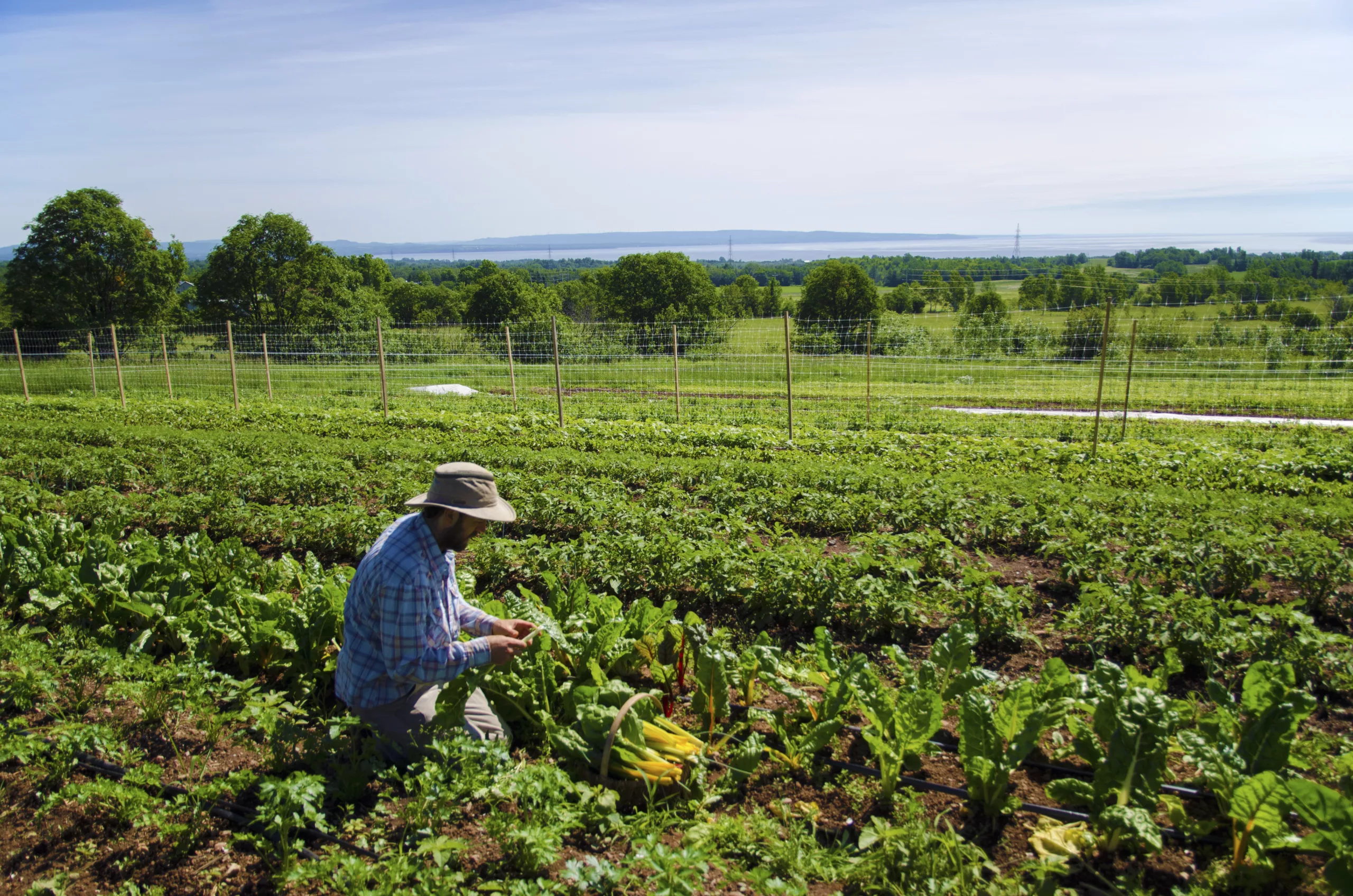 Une personne dans un champs