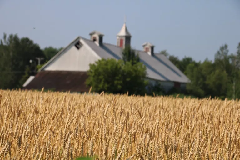 Agriclimat|Notre équipe