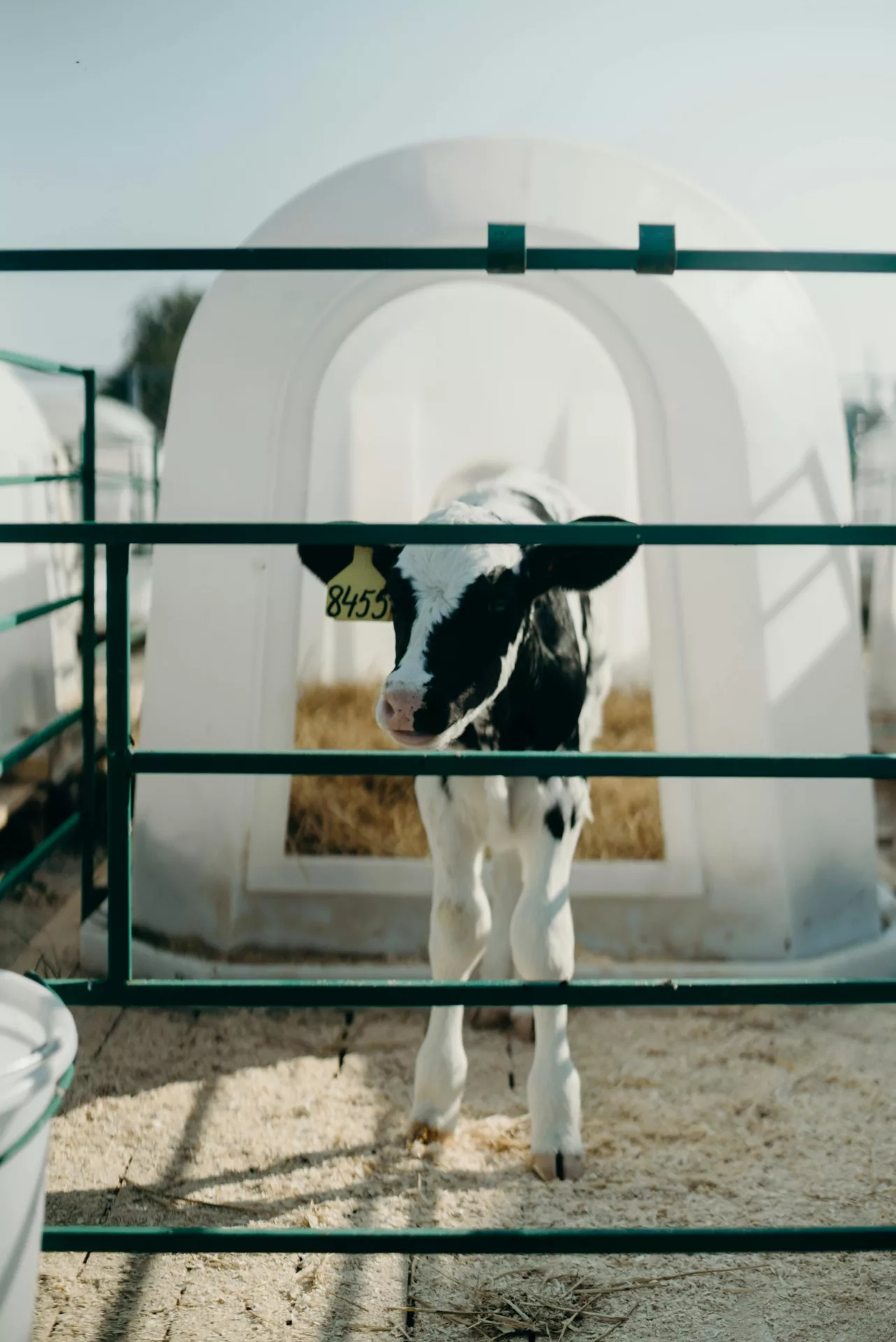 Agriclimat | Infolettre